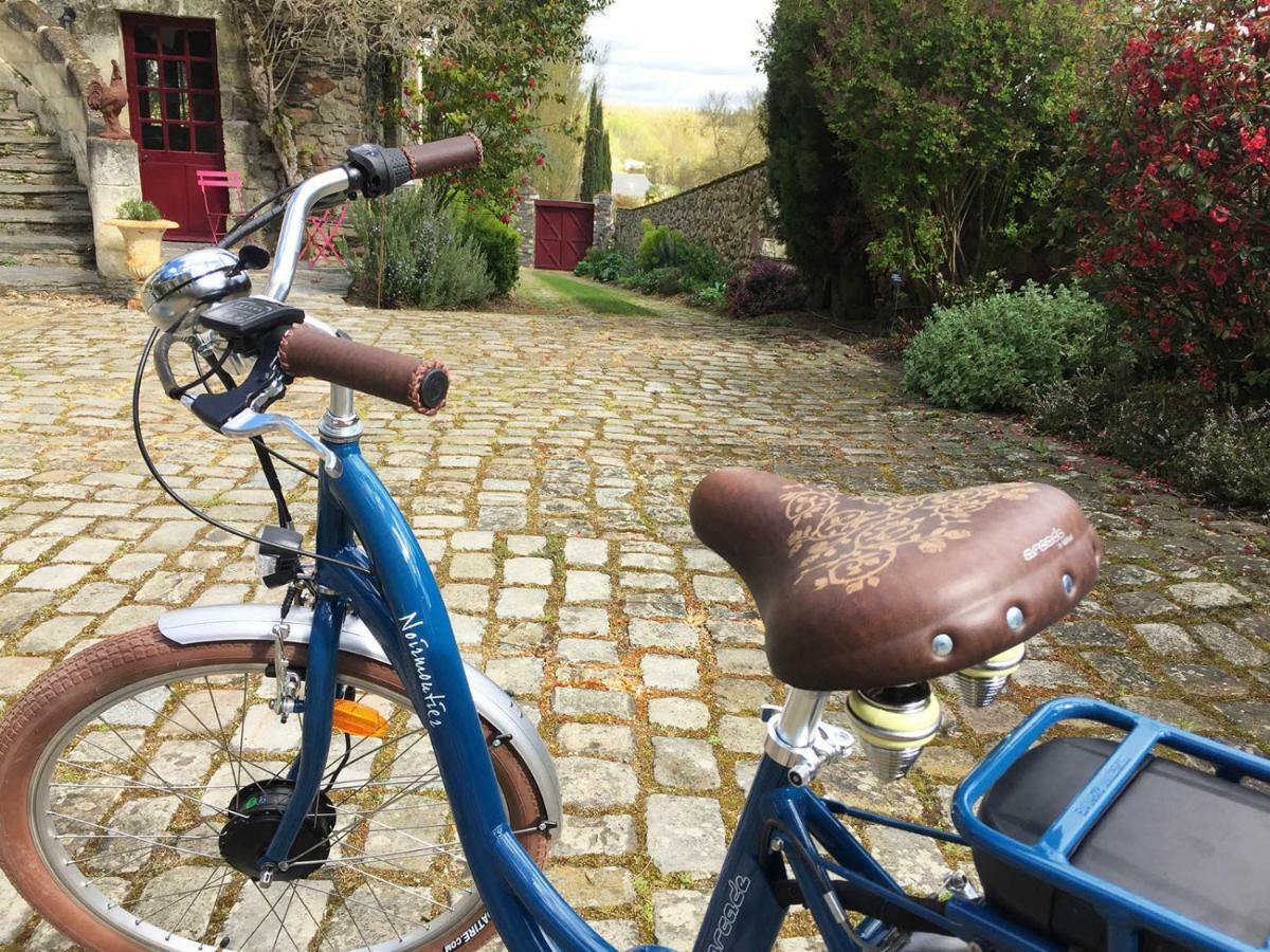 Manoir De La Groye Hotel Saint-Saturnin-sur-Loire Екстериор снимка